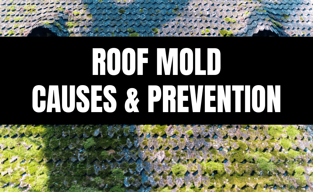 Why Your Roof Has Mold (And How to Prevent It Next Time)
