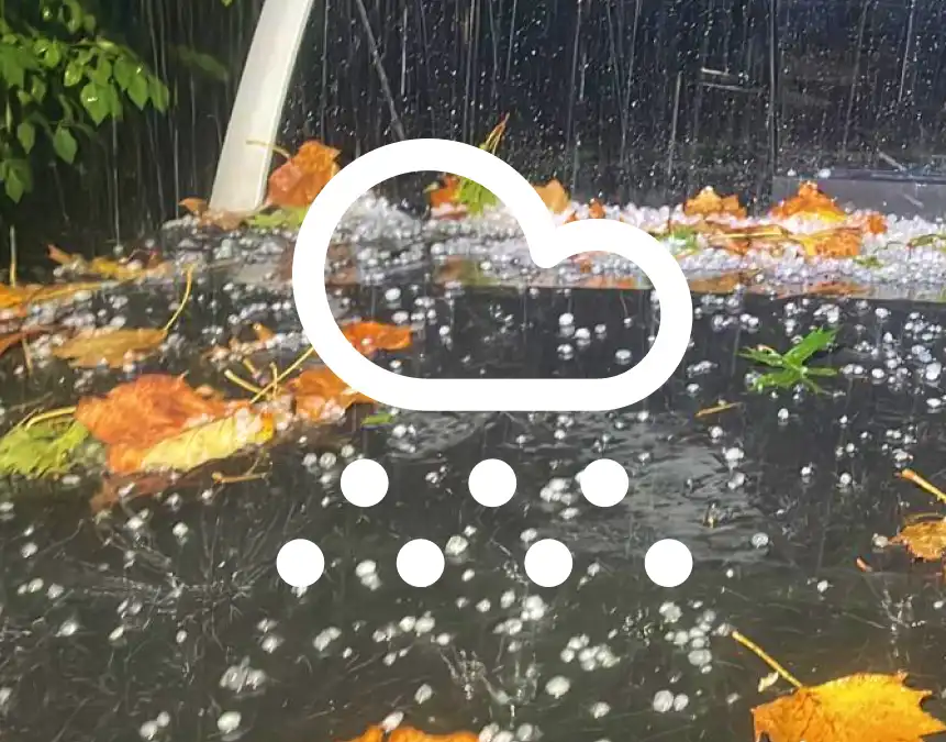 A close-up of rain falling on a surface with leaves scattered around. The image features a weather icon illustrating rain.